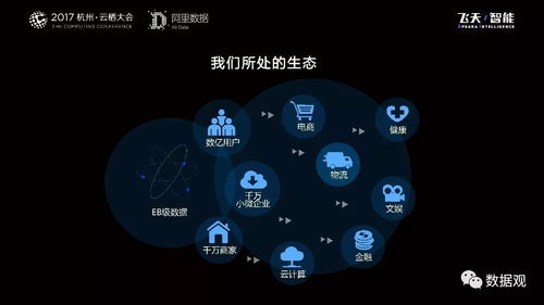 阿里數(shù)據(jù)服務(wù)產(chǎn)品開發(fā)與大數(shù)據(jù)體系演進 從平臺構(gòu)建到智能服務(wù)